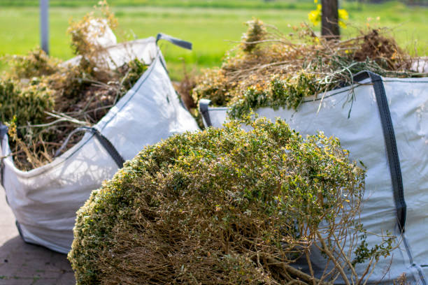 Best Dumpster Rental Services  in Rden City, GA